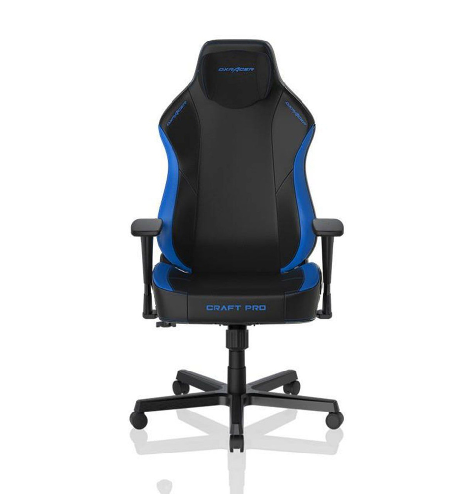 Компьютерное кресло DXRacer CRA/D5000/NB Pro #1