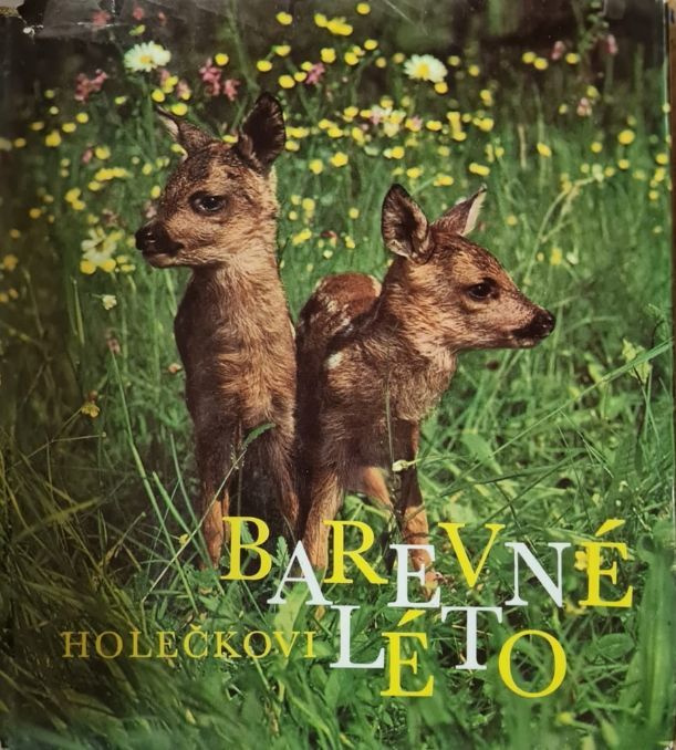 Barevne Leto #1