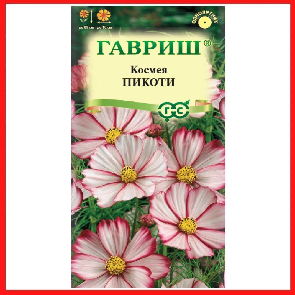 Семена Космея "Пикоти" 0,3 гр, однолетние цветы для дачи, сада и огорода, клумбы, в открытый грунт, цветы #1