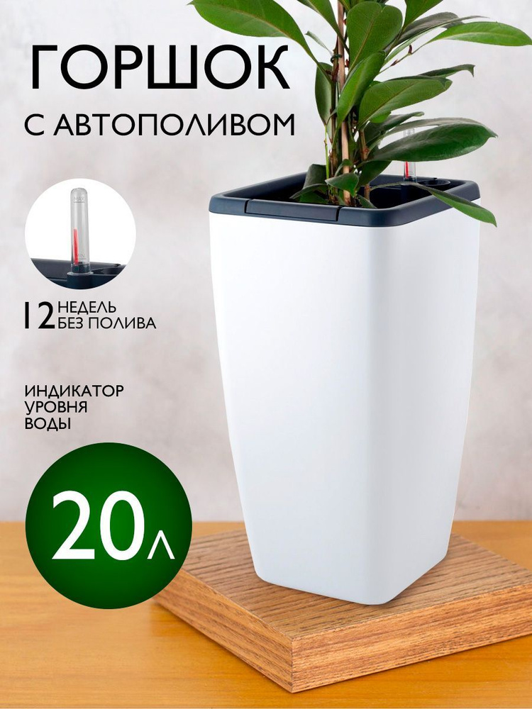 Купить кашпо и горшки для комнатных растений - Consta Garden интернет-магазин
