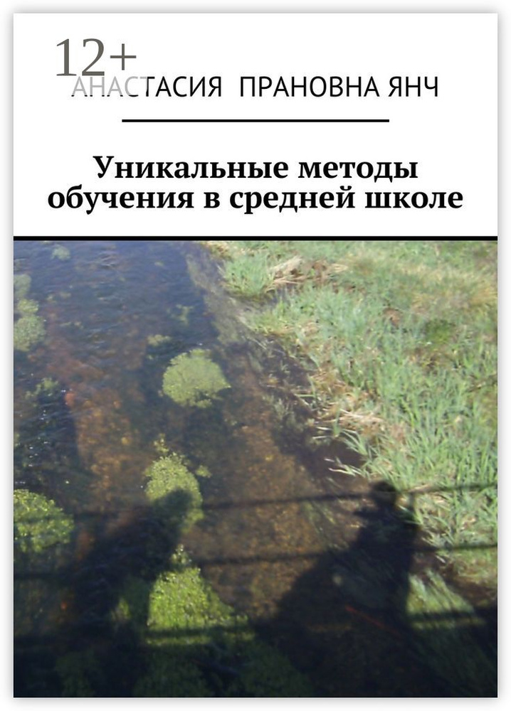 Уникальные методы обучения в средней школе #1