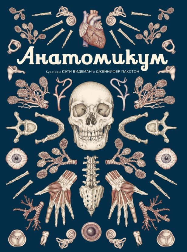 Анатомикум #1