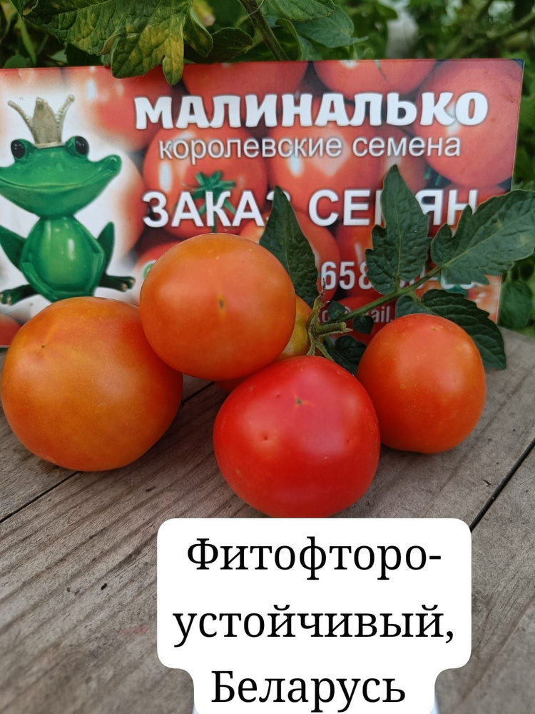 Семена #1