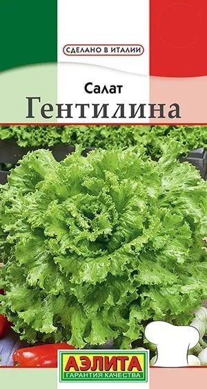 Салат "Гентилина" семена Аэлита для дома, балкона, подоконника и огорода, 0,5 гр  #1