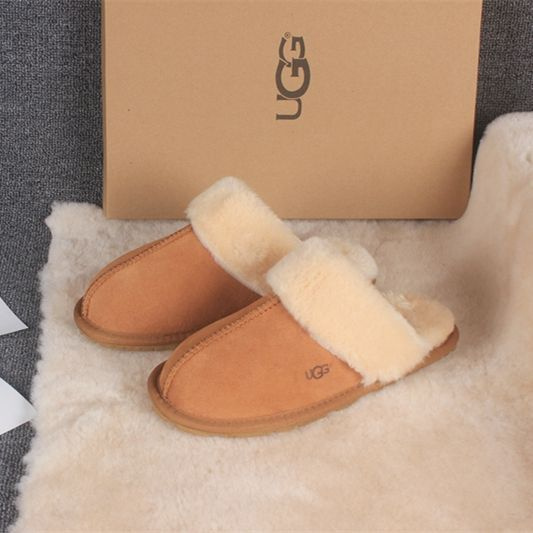 Тапочки UGG #1