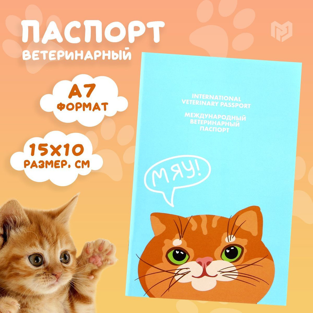 Ветеринарный паспорт для кошек 