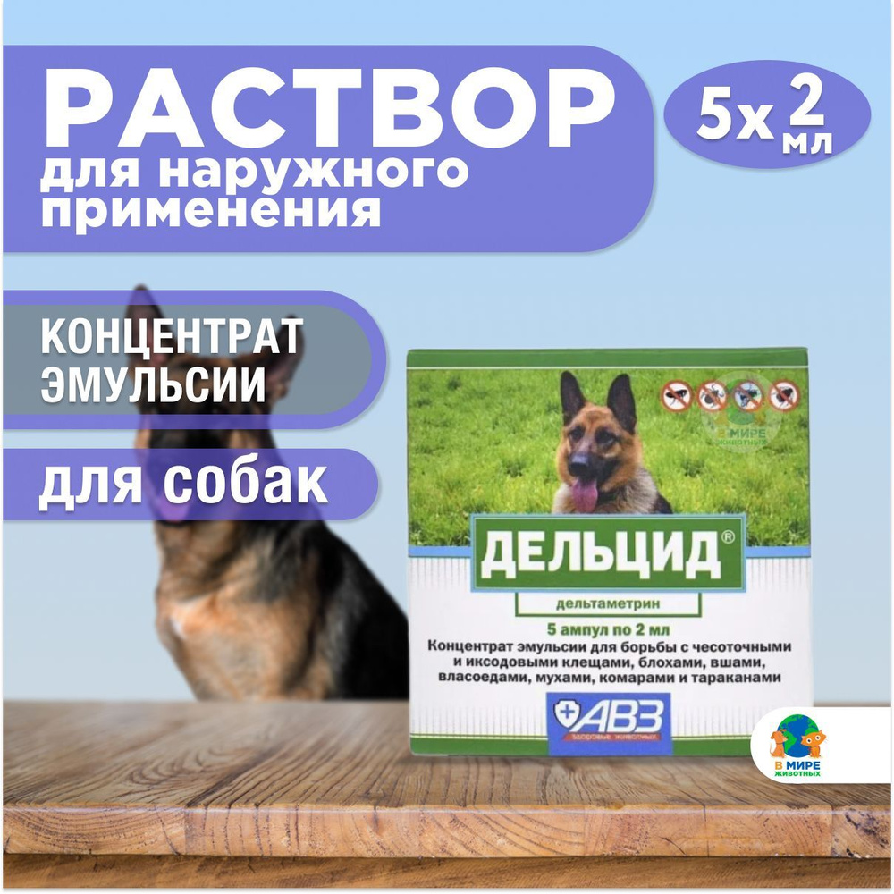 АВЗ Дельцид раствор для наружного применения, концентрат эмульсии для  собак, 5 ампул по 2 мл. Дельтаметрин 4%. - купить с доставкой по выгодным  ценам в интернет-магазине OZON (1257417755)