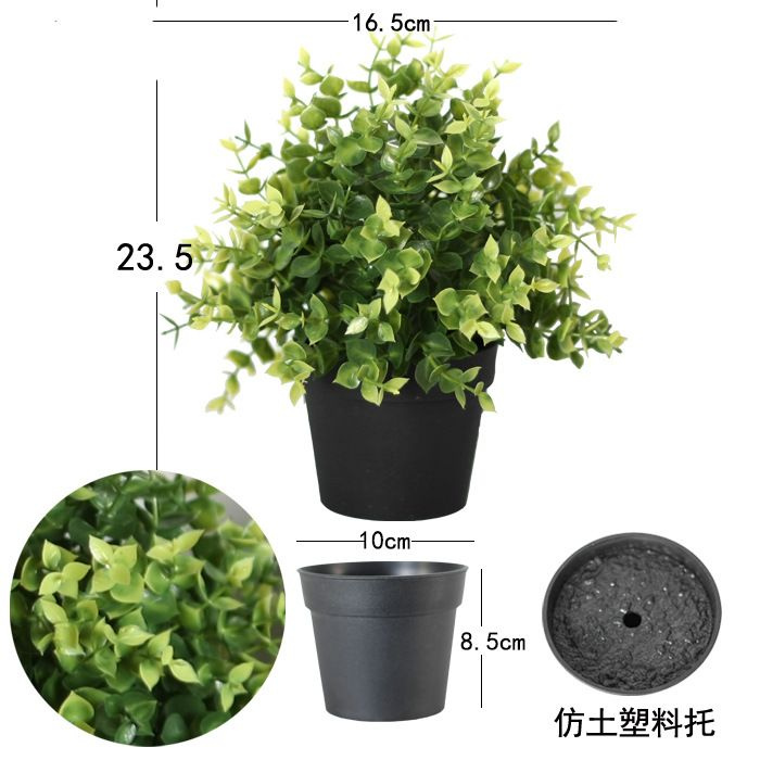 Купить Мини-зеленые растения, маленькие растения в горшках ...