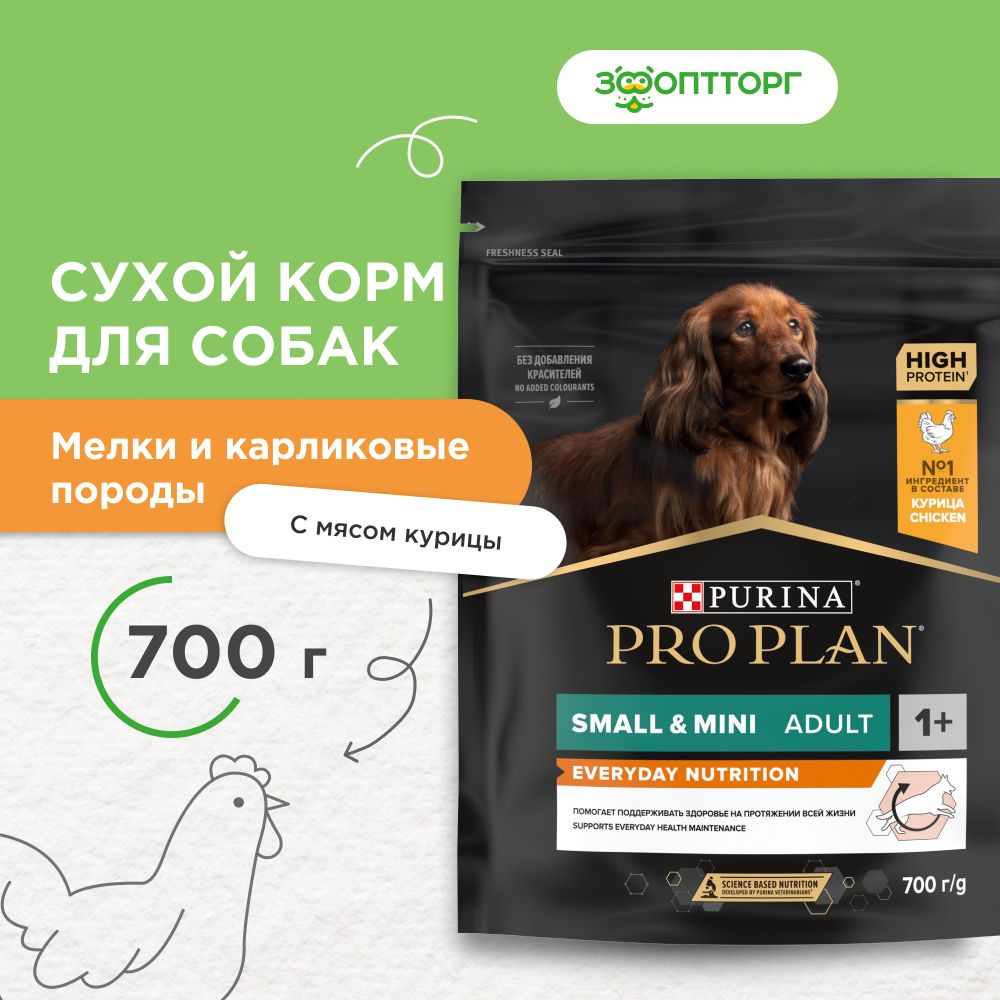 Pro plan best sale mini adult