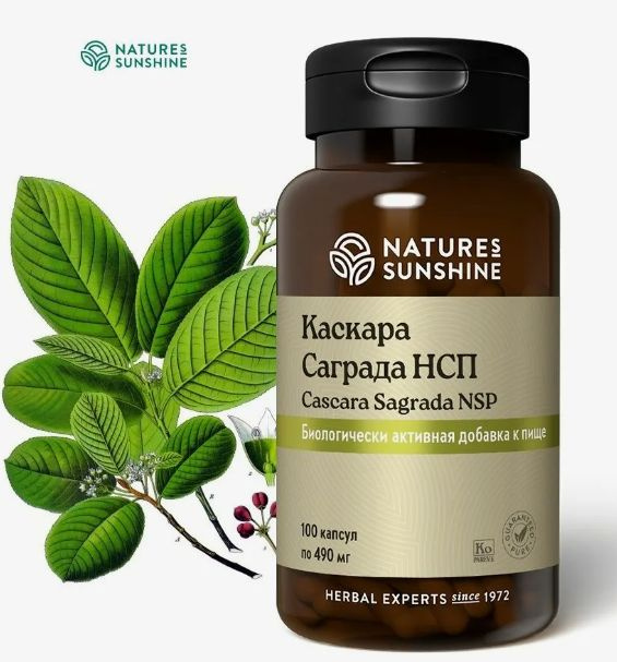 Каскара Саграда НСП / Cascara Sagrada - купить с доставкой по выгодным ...