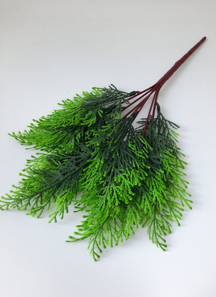 Купить Ветка туи декоративная по выгодной цене в интернет-магазине OZON ...