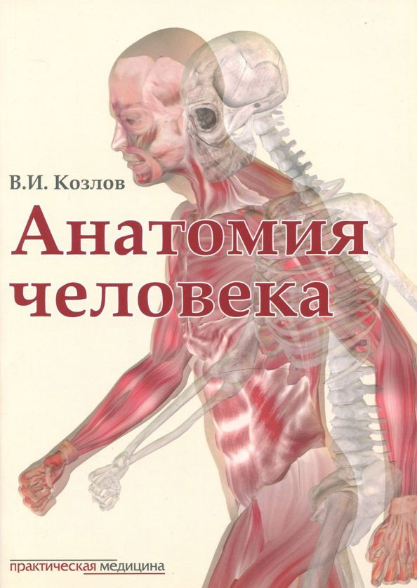 Анатомия человека. Учебник | Козлов Валентин Иванович #1