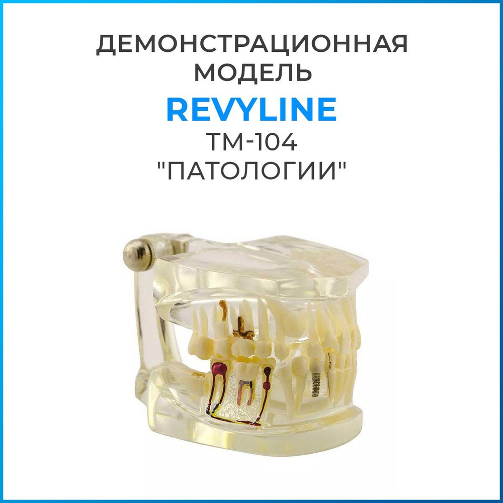 Демонстрационная модель Revyline TM-104 