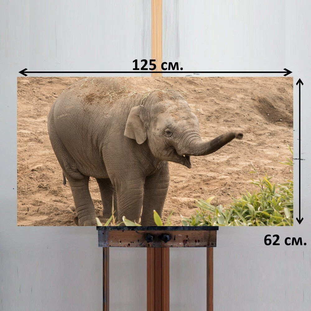 LotsPrints Картина "Слон, маленький, животное 84", 125  х 62 см #1