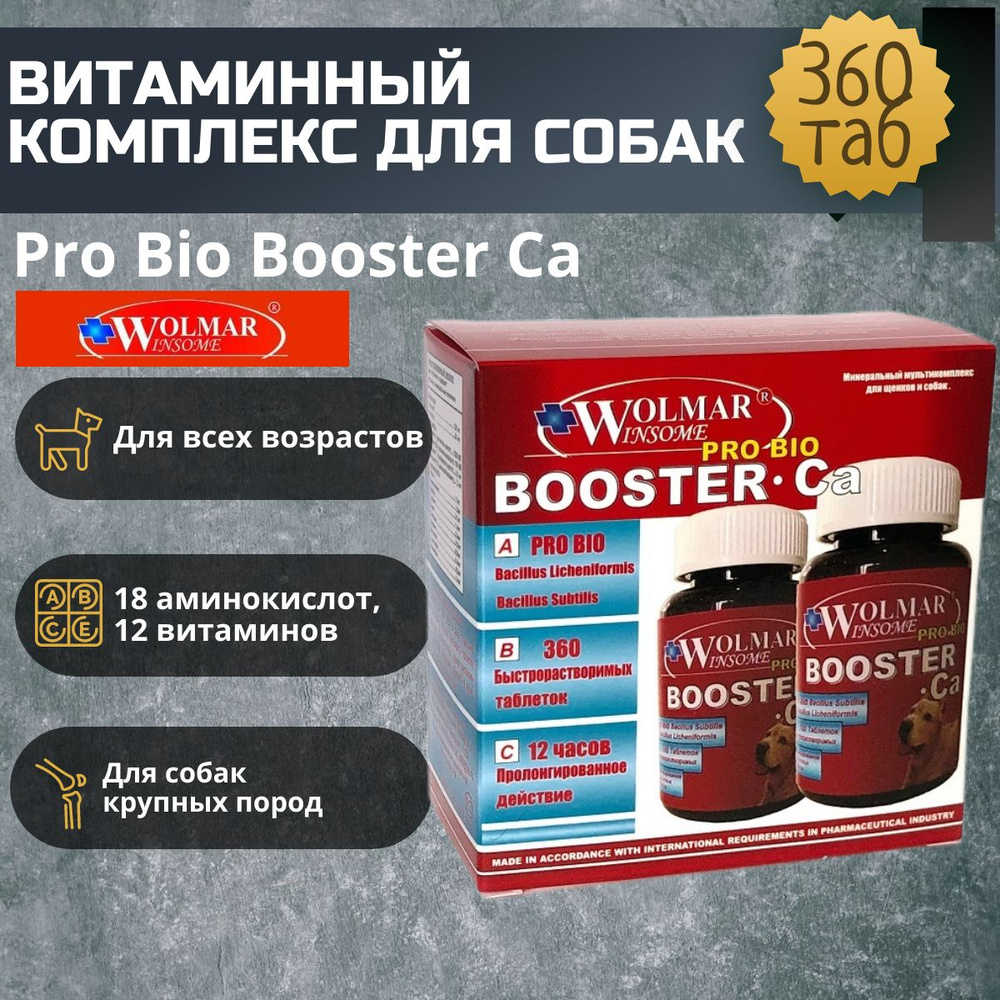 Витаминный комплекс Wolmar Winsome Pro Bio Booster Ca для собак крупных  пород с кальцием 360 таб. - купить с доставкой по выгодным ценам в  интернет-магазине OZON (242276886)