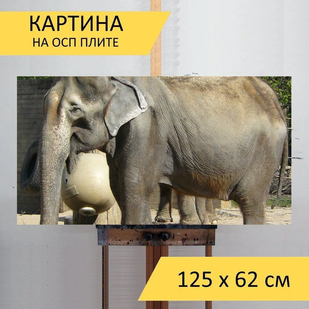 LotsPrints Картина "Слон, зоопарк, животные 65", 125  х 62 см #1