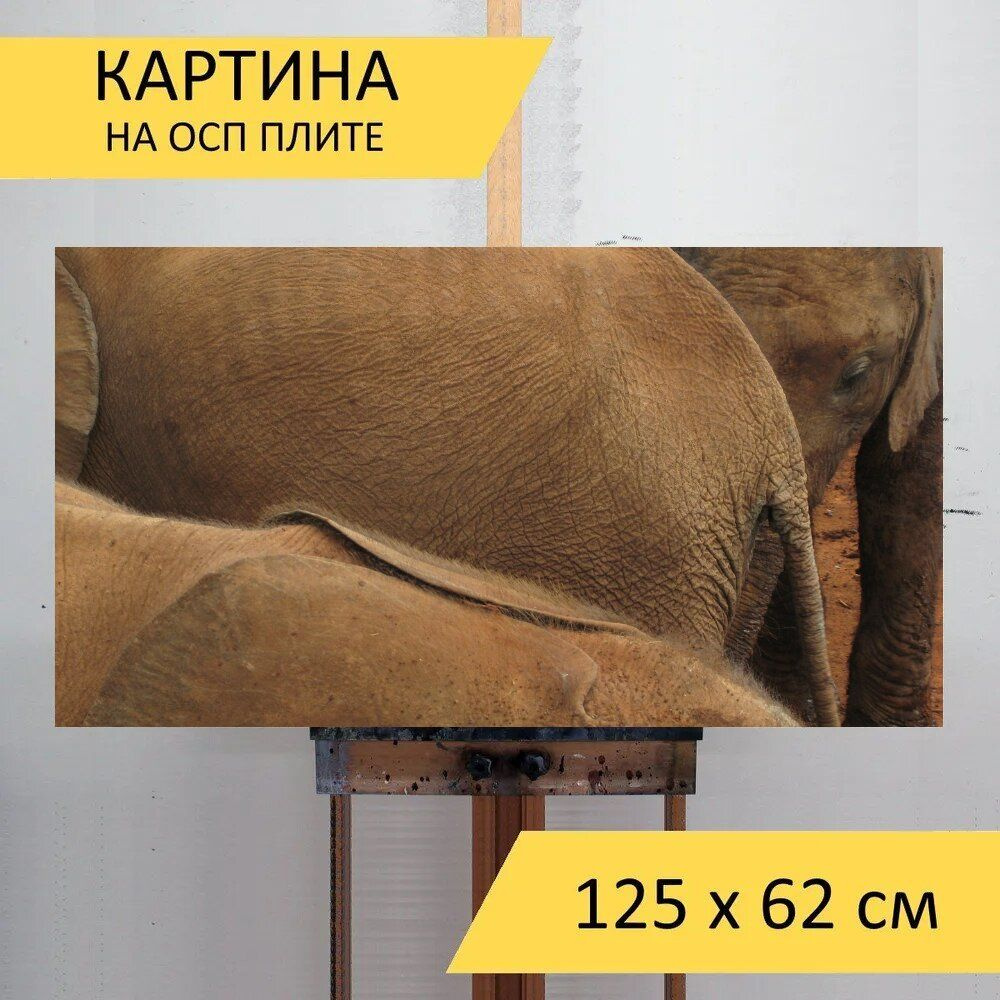 LotsPrints Картина "Слон, сирота, детка 62", 125  х 62 см #1
