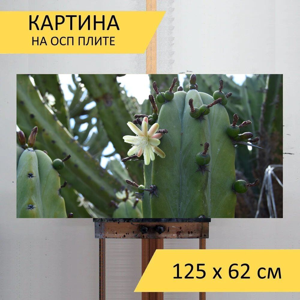 LotsPrints Картина "Кактус, цветок, салон красоты 34", 125 х 62 см  #1