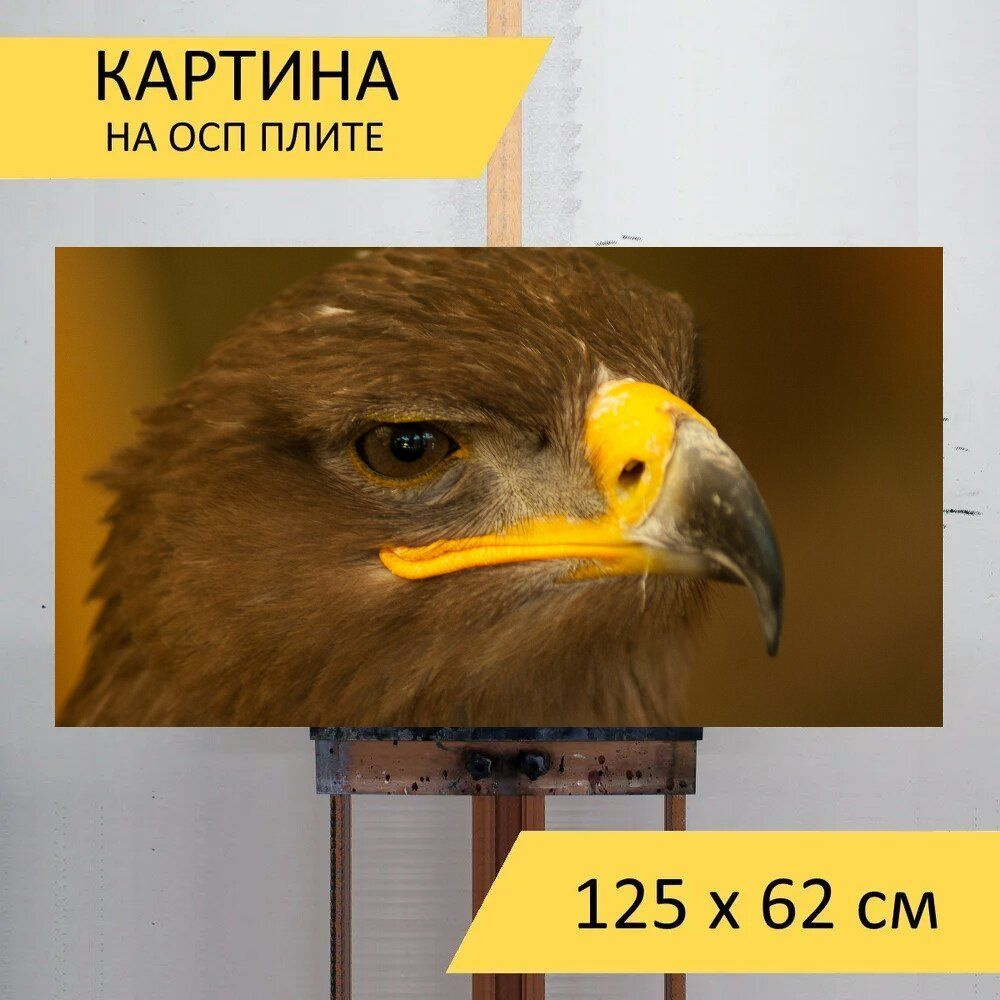 Картина птиц 