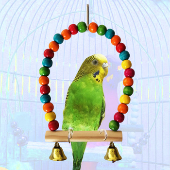 Веточки для попугаев (42 фото)