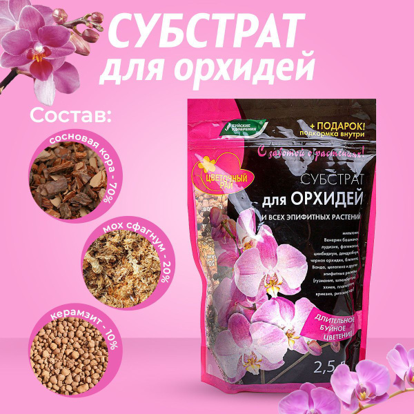 Белдікпен интимдік қызметтер Летибит атақты порно