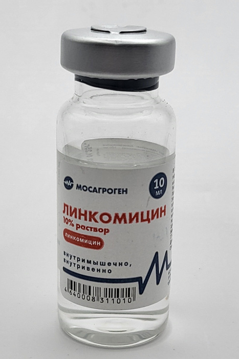Линкомицин 10% 10 мл, раствор - купить с доставкой по выгодным ценам в ...