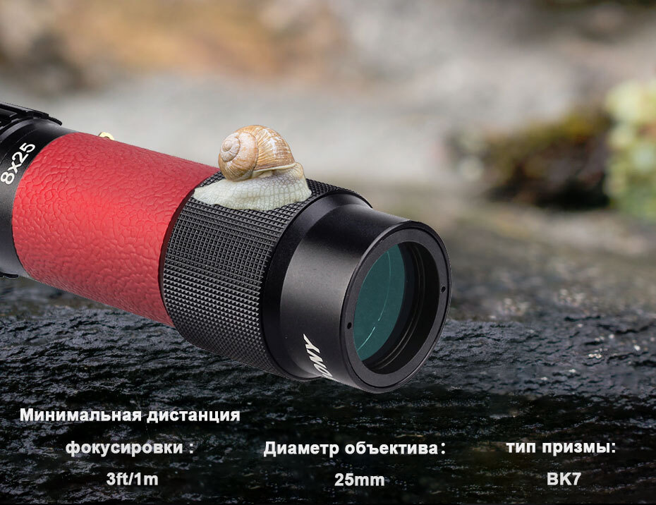 Текстовое описание изображения