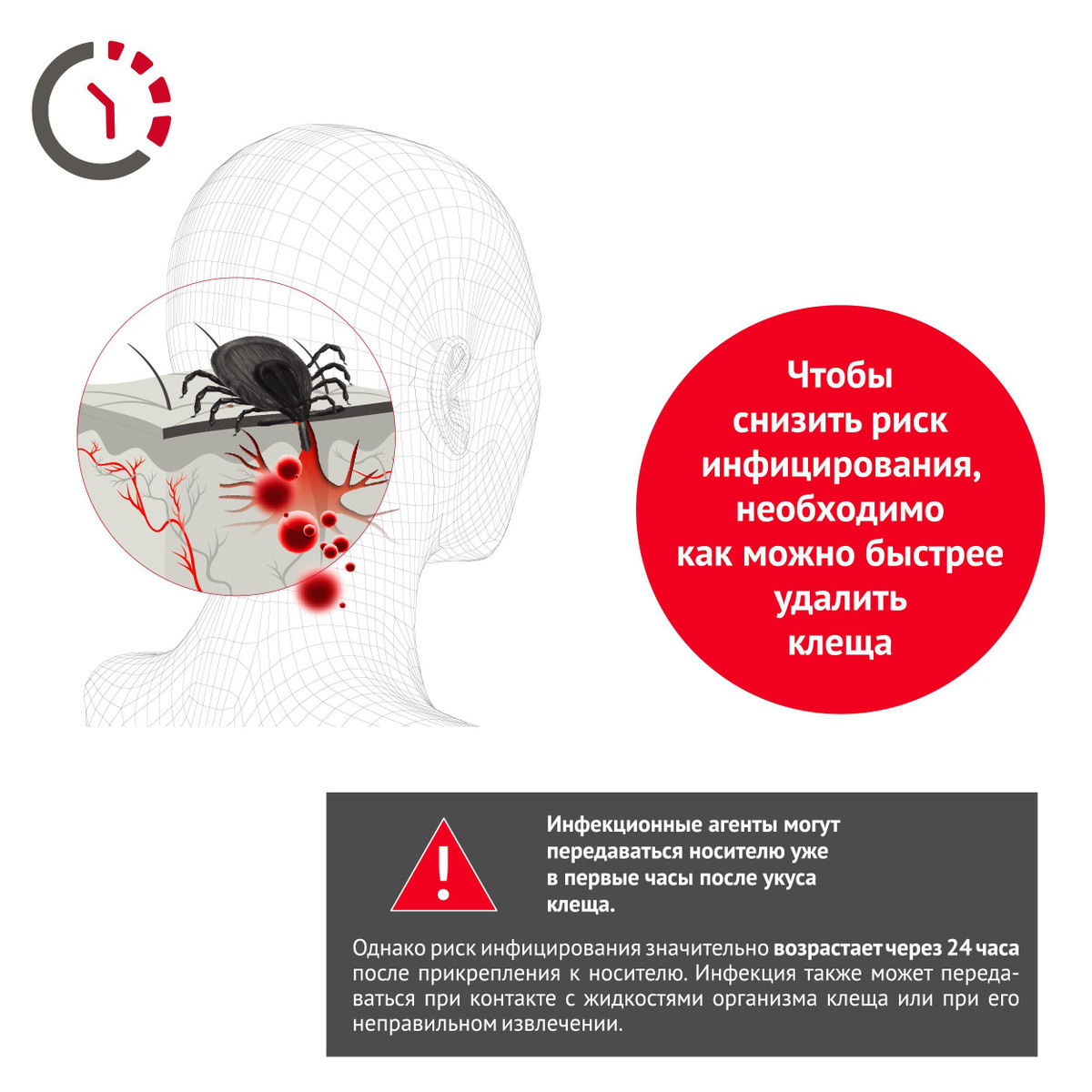 Прочие туристические аксессуары Клещофф КлещОФФ_для людей - купить по ...