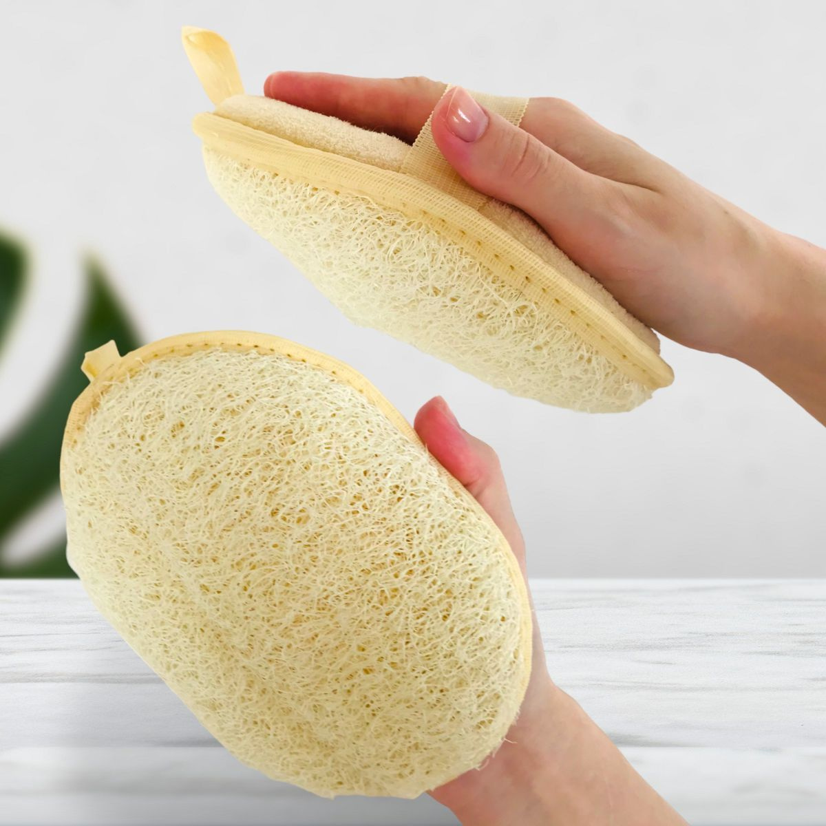 Мочалка из натуральной люфы, губка для тела и душа. купить на OZON по ...