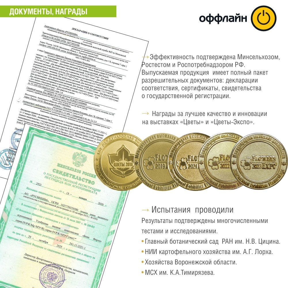 Текстовое описание изображения