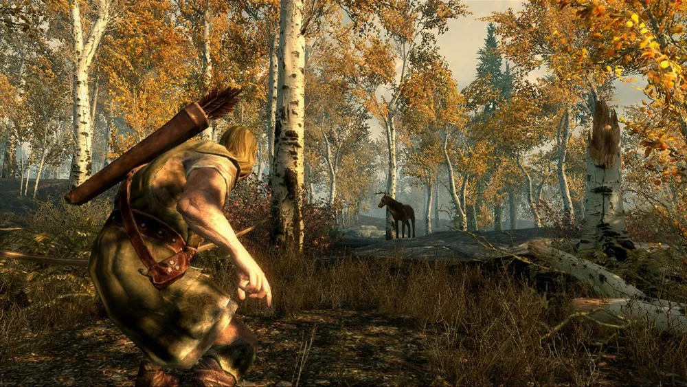 Игра The Elder Scrolls V: Skyrim для Steam PC(ПК), Рус язык, Steam GIFT Россия, вариант, фото 6