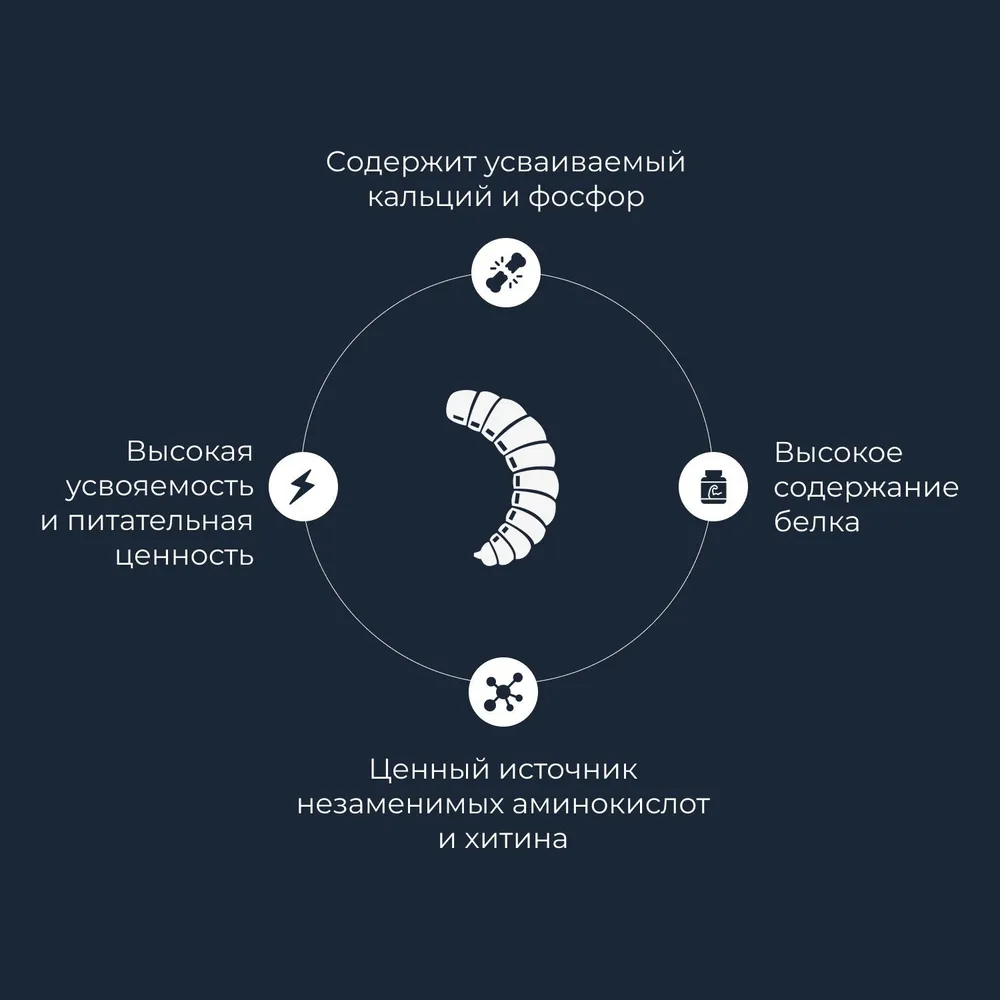Личинка чёрной львинки консервированная, черный, фото 5