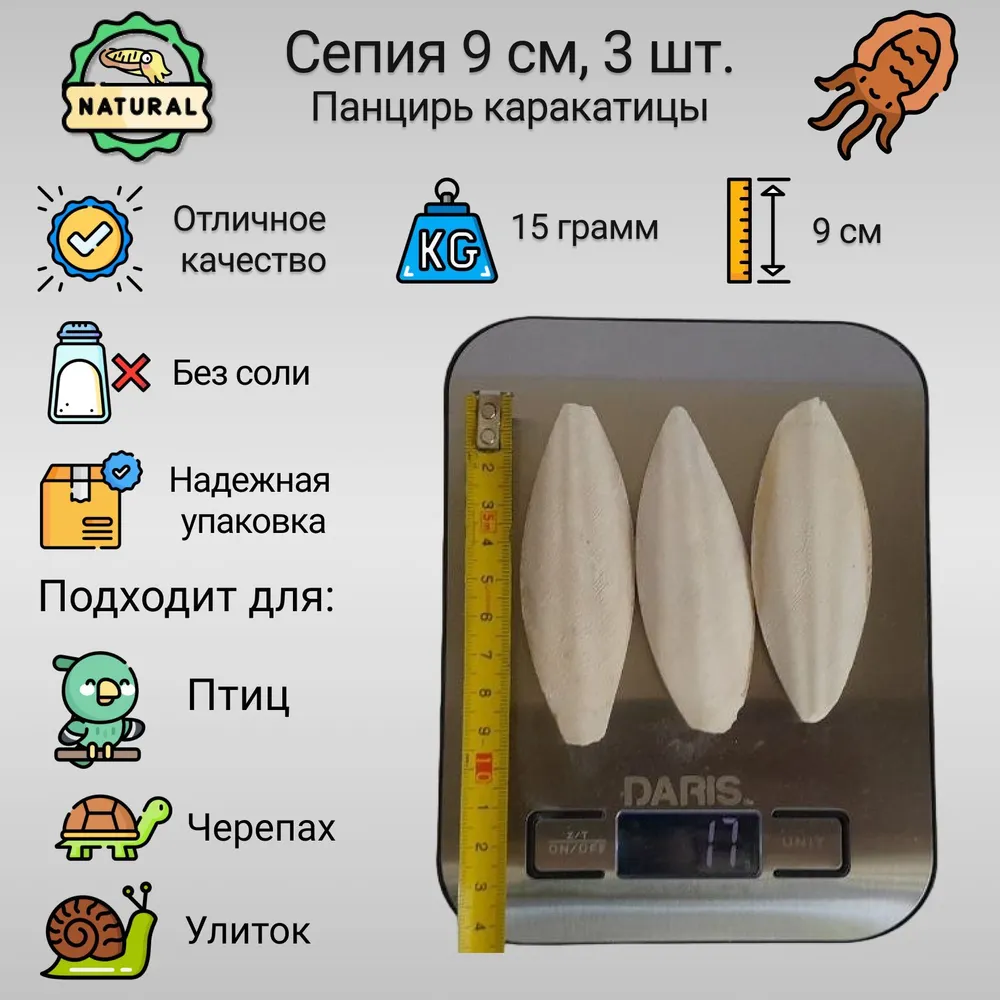 Сепия (минеральный камень) панцирь каракатицы для попугаев, улиток, черепах 9 см, 3 шт. (15 грамм) без крепления, 3 шт