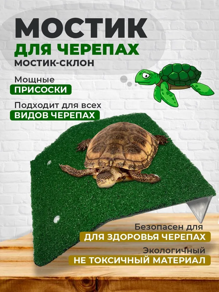 Мостик для черепах на присосках 120x200 мм+100 мм склон, 120x200 мм