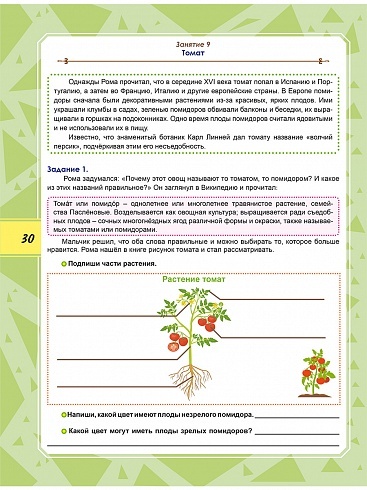 Функциональная грамотность 4 класс. Тренажёр для школьников. ФГОС | Financial Literacy Basics - Ozon image 7