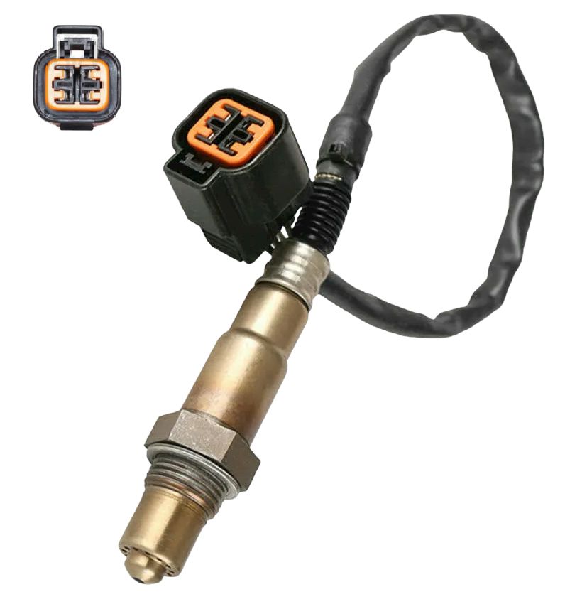 Арық сперматозоидтар