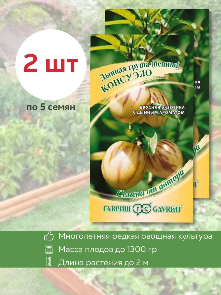 Цветы и плоды пепино