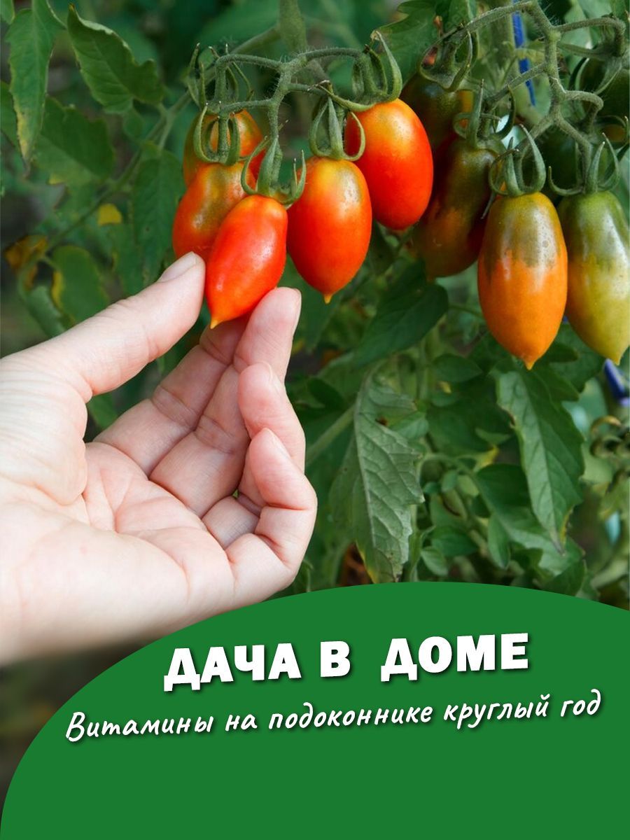 Консервированные томаты Джекпот