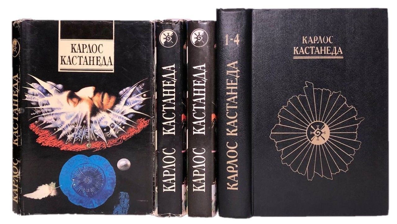 Көшеде транни сору