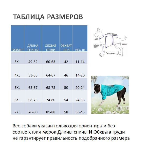 размер длина спины. размер шлейки для собак таблица размеров хаски. длина спины собаки. корсет тренажер спиномед. размерная сетка чихуахуа для собак мелких.
