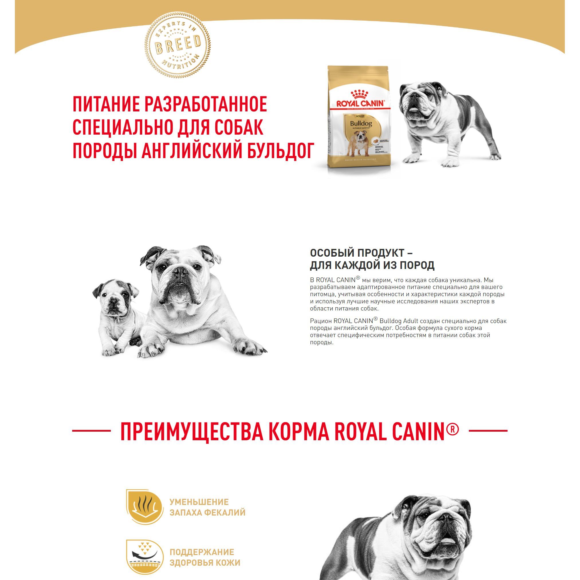 Royal canin best sale bulldog adult