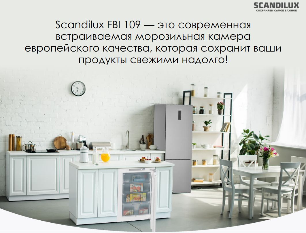 Встраиваемый морозильник SCANDILUX FBI 109 по низкой цене: отзывы, фото,  характеристики в интернет-магазине Ozon (1157528315)