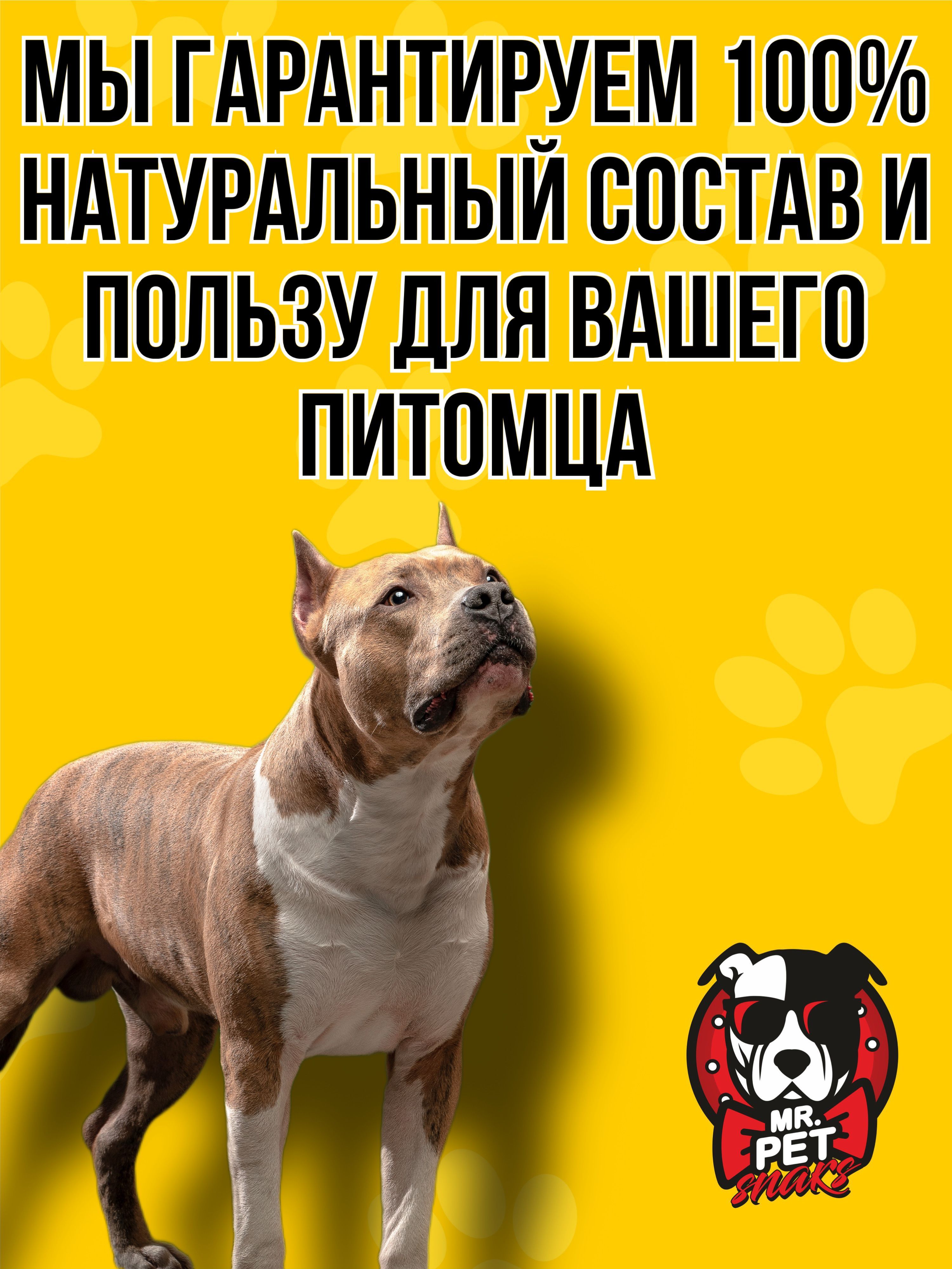 Нос и Губа с мясным основанием 250 грамм Лакомство для собак "Mr/Pet