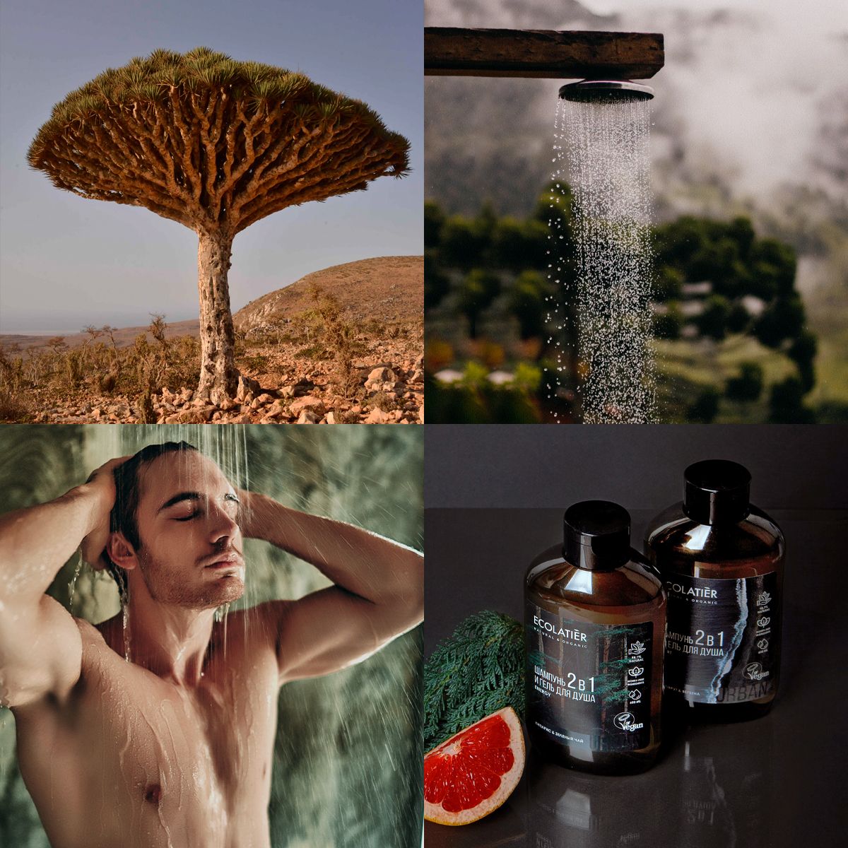ECOLATIER / Мужской гель для душа и шампунь 2 в 1 Грейпфрут и Вербена ...
