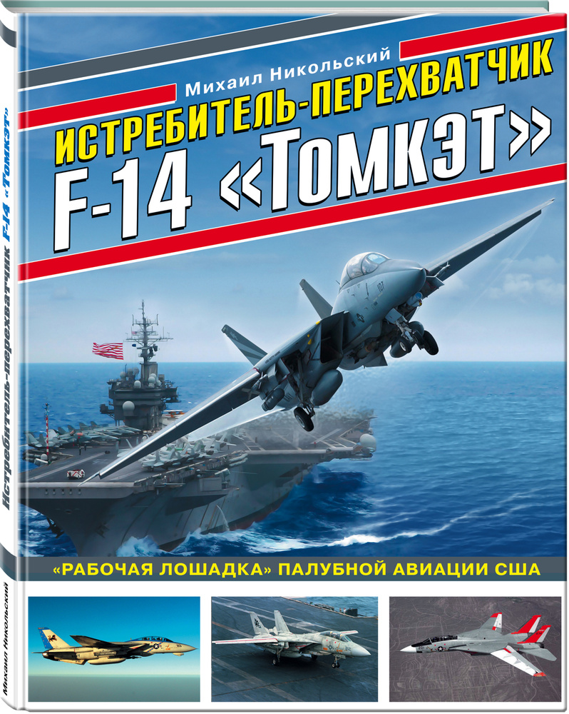 Истребитель-перехватчик F-14 Томкэт. Рабочая лошадка палубной авиации США |  Никольский Михаил Владимирович - купить с доставкой по выгодным ценам в  интернет-магазине OZON (253325429)