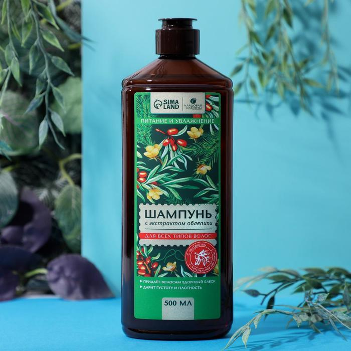 КЛАДОВАЯ КРАСОТЫ Шампунь для волос, 500 мл - купить с доставкой по ...