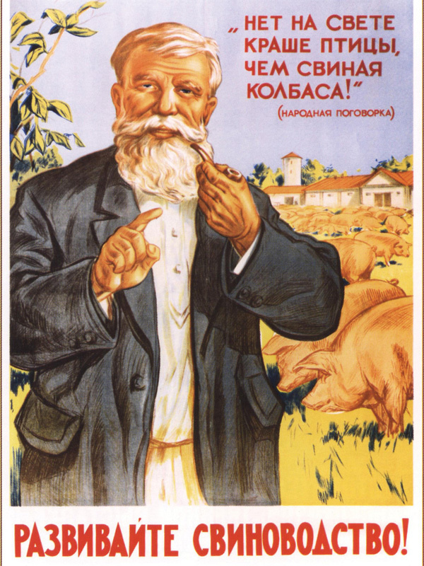 Постер Ретро СССР плакат Развивайте свиноводство! (30х40 см) #1