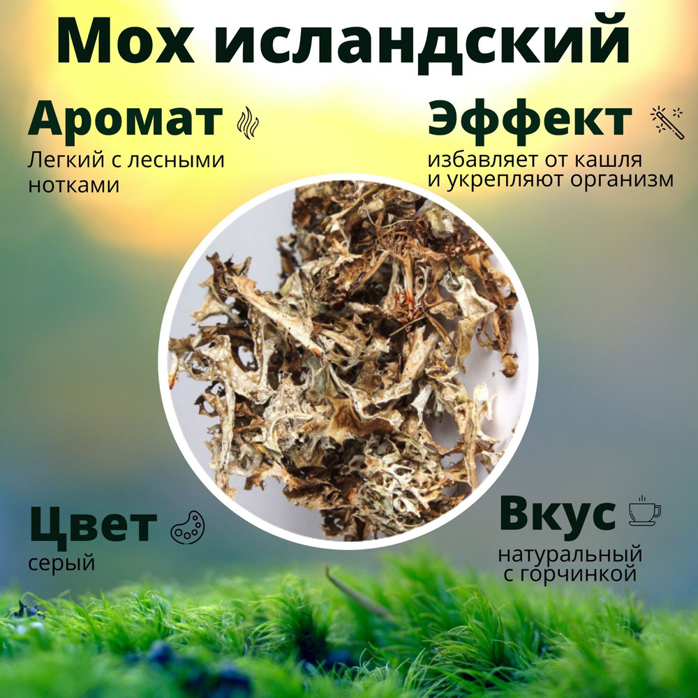 Мох Исландский, Цетрария, 60.гр. - купить с доставкой по выгодным ценам ...