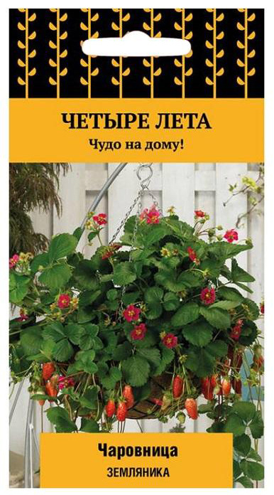 Семена Земляника ремонтантная "Поиск" Чаровница 5шт #1
