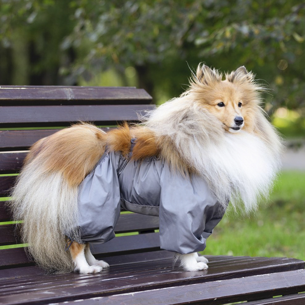ЧИСТОПУЗ / комбинезон (брюки) для маленьких собак, серый, для мальчика,размер 55 - купить с доставкой по выгодным ценам в интернет-магазине OZON(529782024)